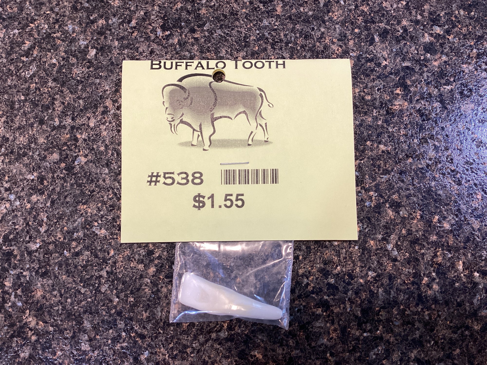 Buffalo Tooth