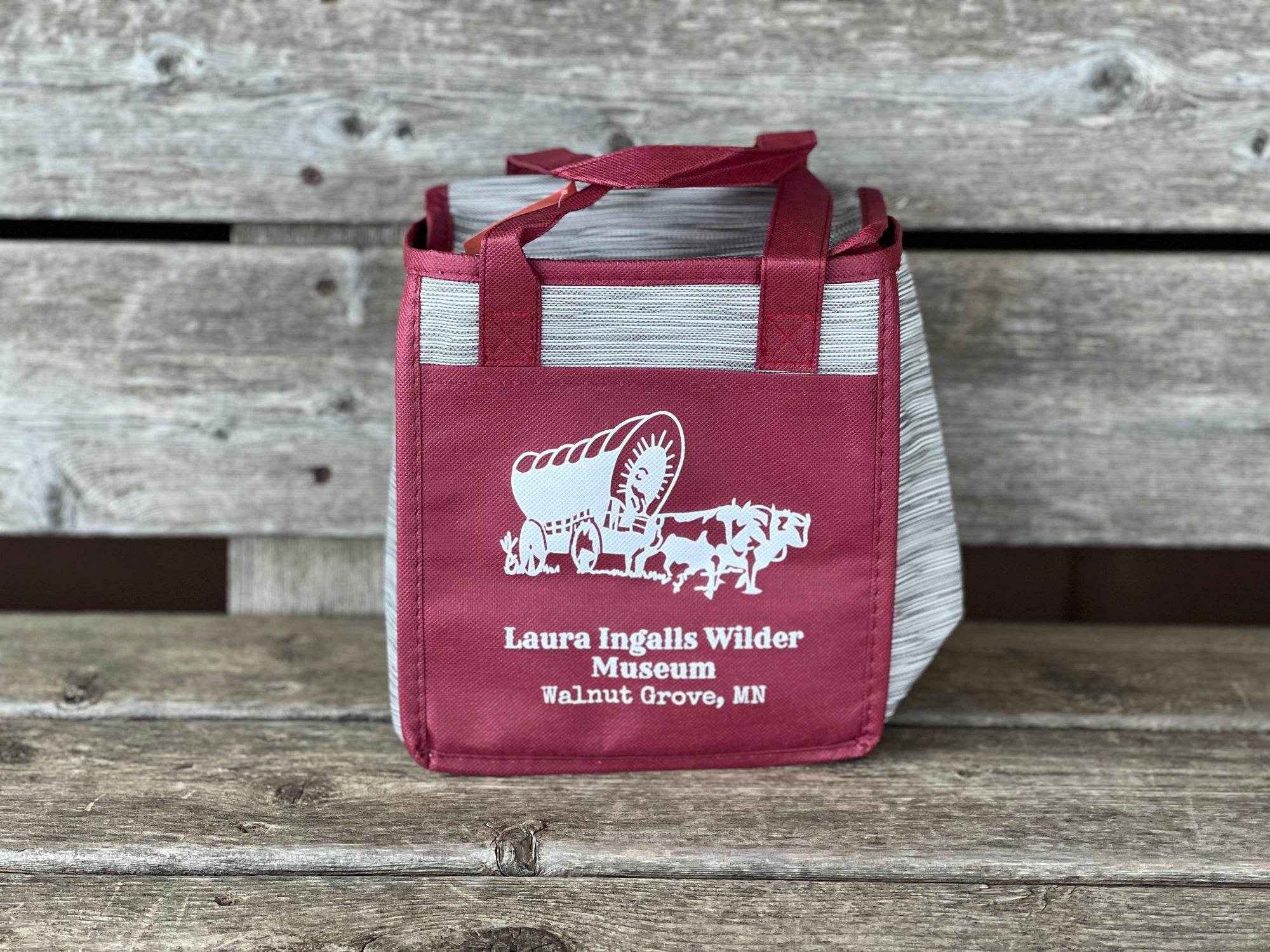 Insulated Lunch Cooler