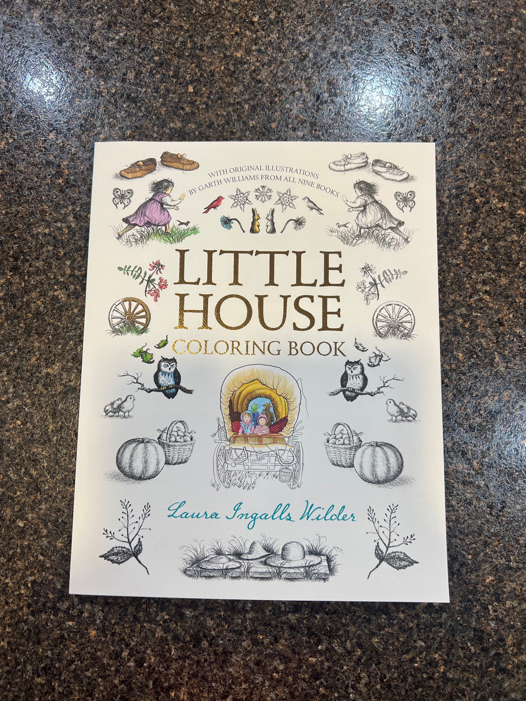 Little House Coloring Book