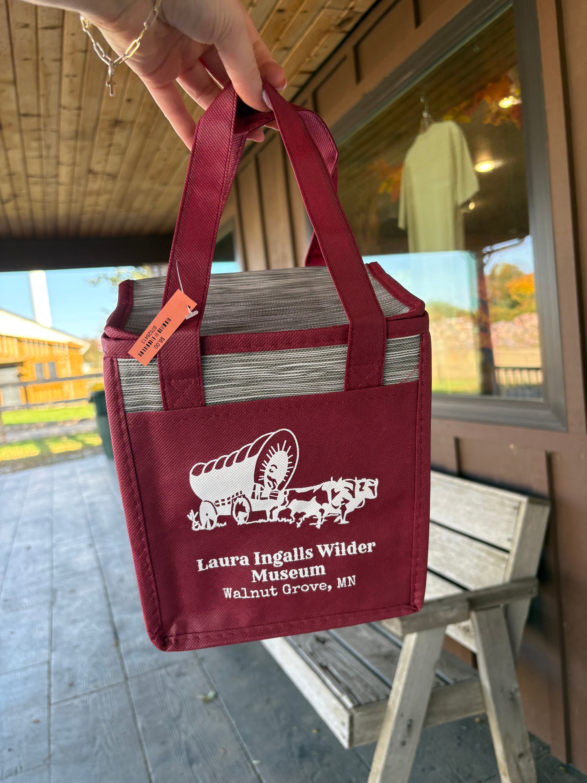 Insulated Lunch Cooler