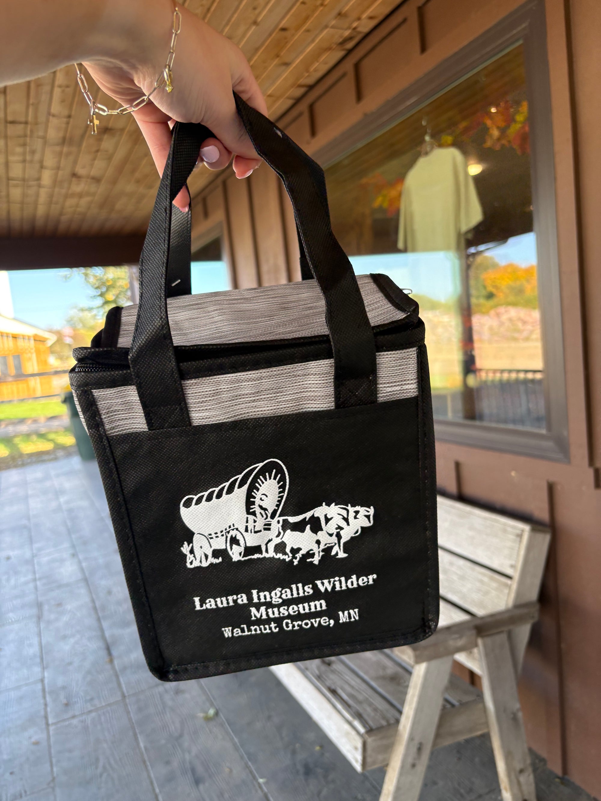 Insulated Lunch Cooler