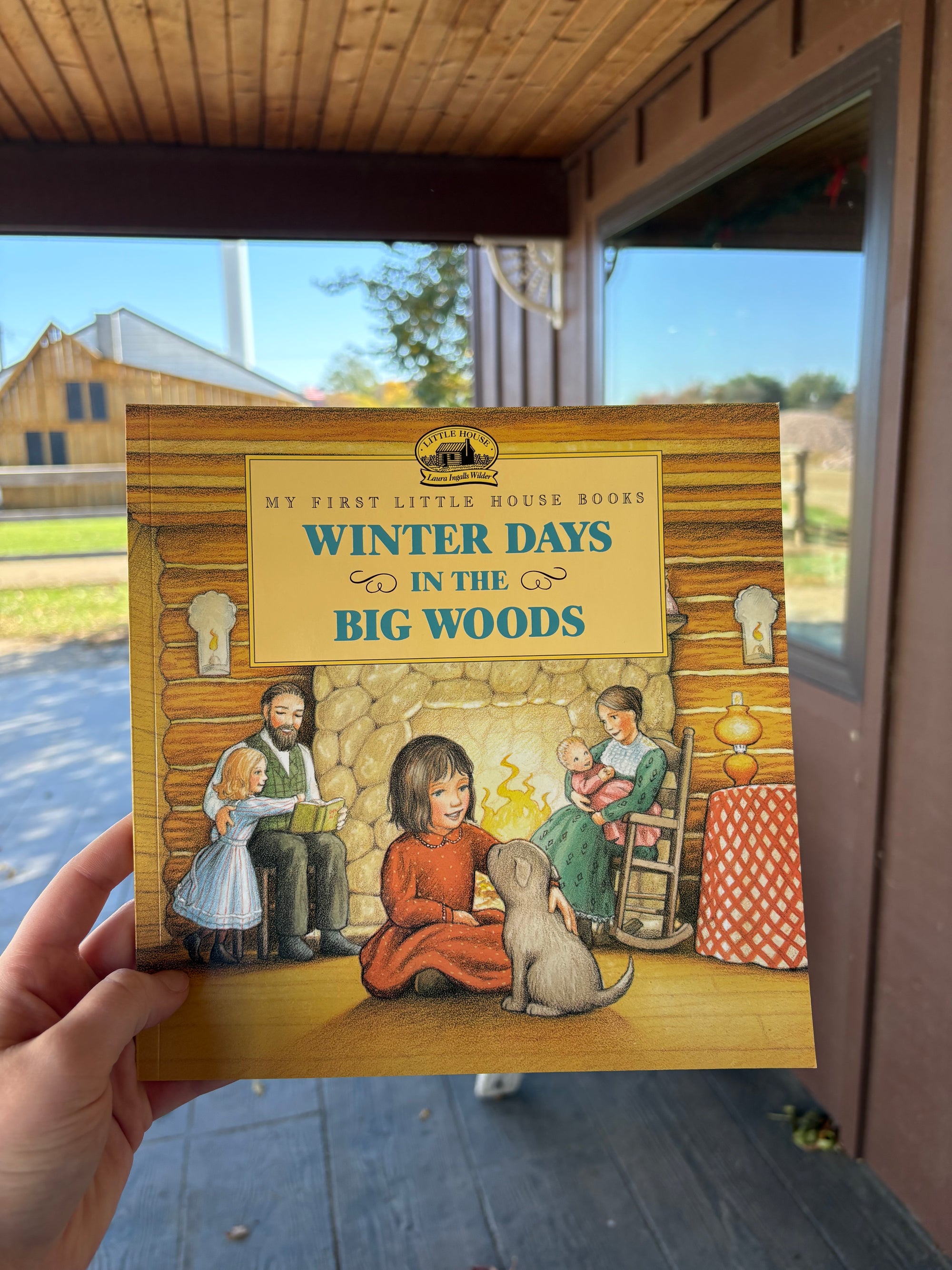 Winter Days in the Big Woods